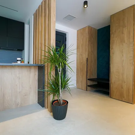 Luxury Vista Apartment *
